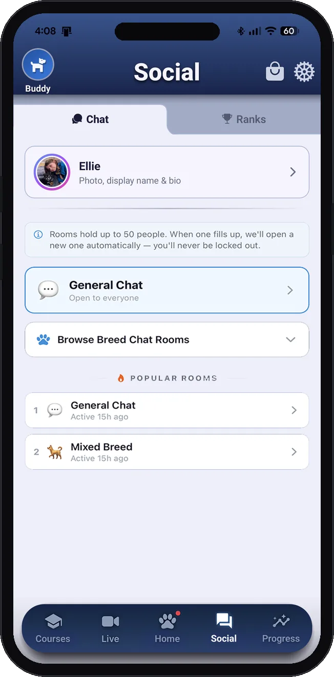 Community chat rooms
