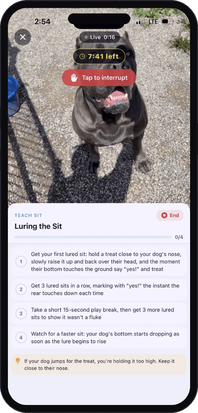 Live guided lesson with step checklist
