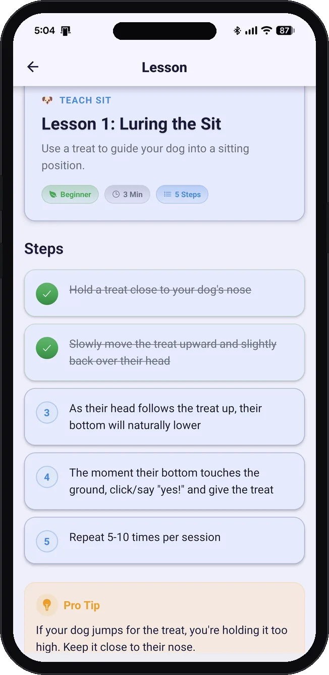 Self-guided lesson with step checklist